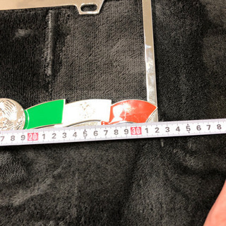 レア☆外国！車ナンバーカバーの画像