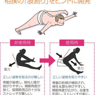 サンテプラス フレックスクッションの画像