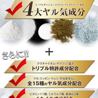 最近元気がないと感じたあなたに「プラチナイーグル」１箱 栄養機能食品(亜鉛)の画像