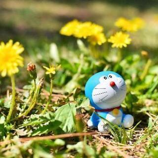 カメラ仲間募集中です*ﾟ