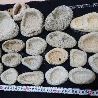 取り置き中・さつま天然軽石鉢・20点セット