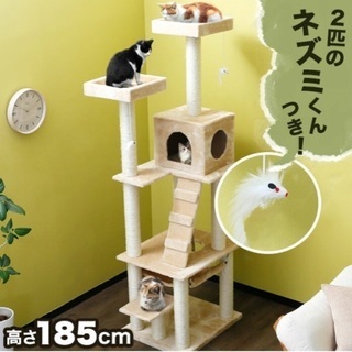 キャットタワー　【受付停止中/再開未定】の画像
