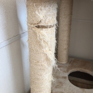 キャットタワー　【受付停止中/再開未定】の画像