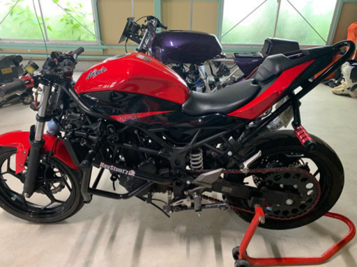 ninja250SL エクストリーム仕様