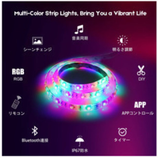 新品未使用LEDテープライト 【2個セット】  10M RG防水 リモコン操作の画像