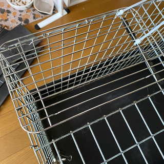 フェレット　小動物　ゲージの画像