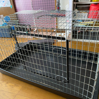 フェレット　小動物　ゲージ