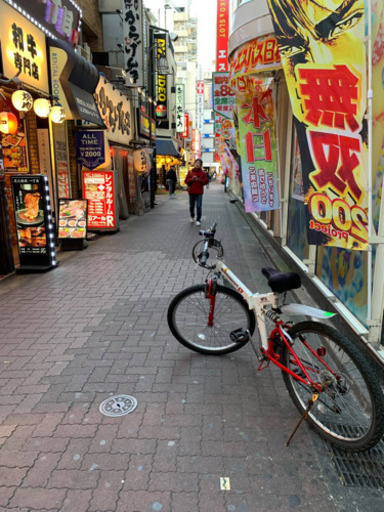 引っ越しのため、出品しました。