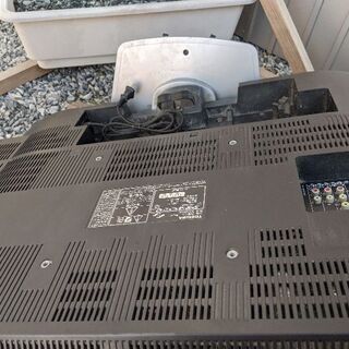 TOSHIBA    REGZA