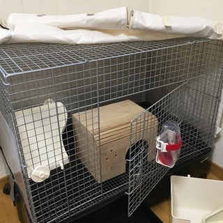 マルチケース（M） (780359)ajewxfamiliar ファミリア ajew マルチケース Mサイズ マルチ対応 Mサイズ / black