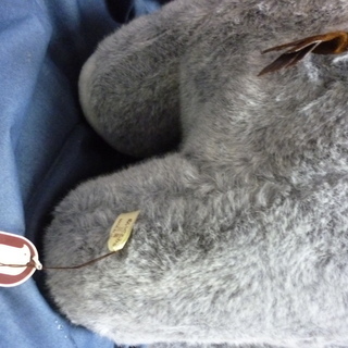 ゾウのぬいぐるみの画像