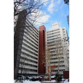 都市ガス ファミリー向け 3LDK リノベーション物件 サッポロ...