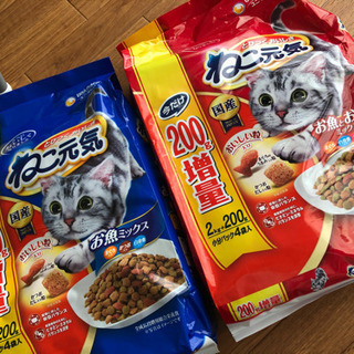 猫の餌！！！
