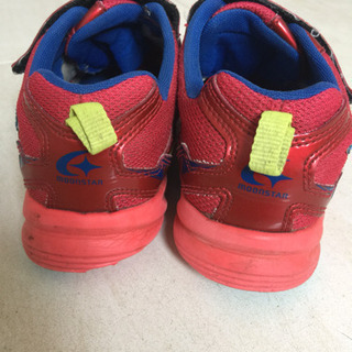 瞬足 20㎝の画像