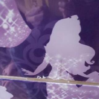 ディズニープリンセス チェストの画像