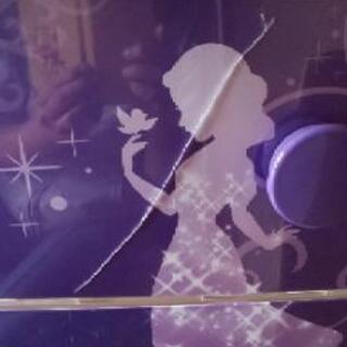 ディズニープリンセス チェストの画像