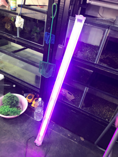 コトブキ1200LEDライト値下げ8000