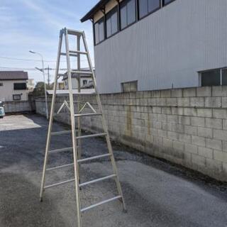 ９尺の脚立