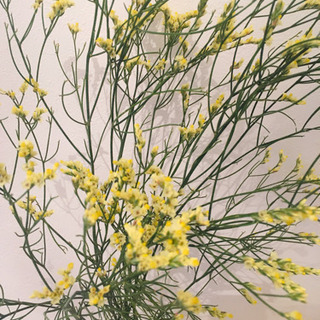 初心者向け。着物着付け教室。販売や勧誘などいっさいありません！安心して通って頂けます。の画像