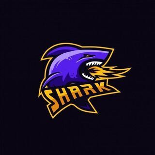 草野球チーム男女メンバー、マネージャー募集中、練習試合募集