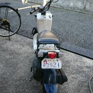 売り切りホンダズーマーAF58-151……