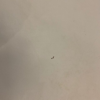 Francfranc　ホワイトテーブルの画像