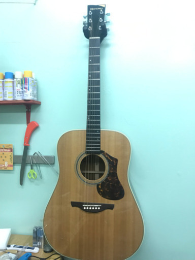 History NT-L4 アコースティックギター【値下げしました】