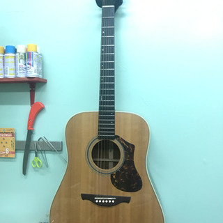 History nt-l4アコースティックギター ハードケース付き History NT-L4