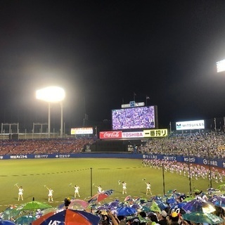 今こそ、野球の、ヤクルトの話をしたいという方、大募集‼️