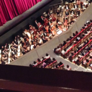 南柏駅3分バイオリン教えます♪の画像