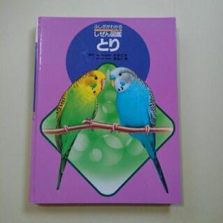 図鑑　３冊の画像