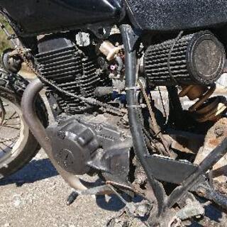 引き取り先決定 tw200 今週末まで引き取り希望 不動車の画像