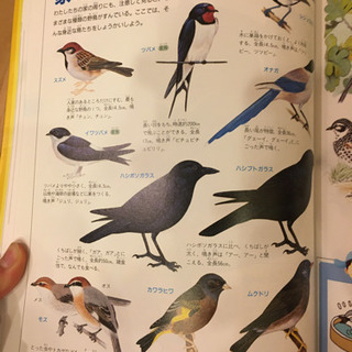 〈郵送可能！〉世界文化社　体験学習大図鑑　遊作くん　新品同様の画像