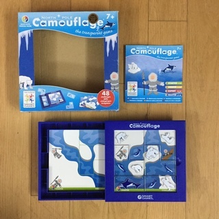 Smart Games - North Pole Camoufl...
