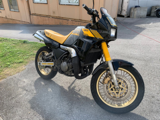 ヤマハTDR250