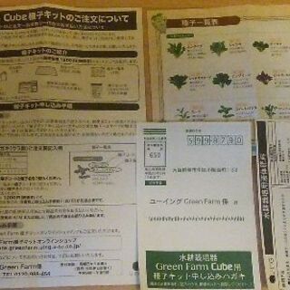 U-ing green farm 大量の種付 室内で水耕栽培(パクチー/ルッコラ)の画像