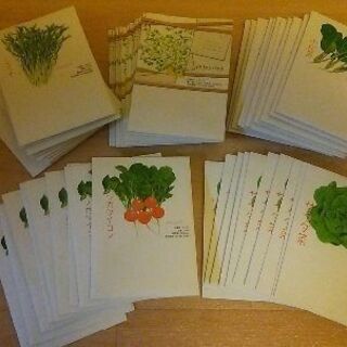 U-ing green farm 大量の種付 室内で水耕栽培(パクチー/ルッコラ)の画像