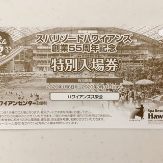 スパリゾートハワイアンズ　特別入場券　２枚
