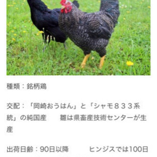 ３時間からOK！新設オープン予定の為人数募集中❗️