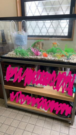 水槽＋台 寿工芸 プログレ900 アクアリウム