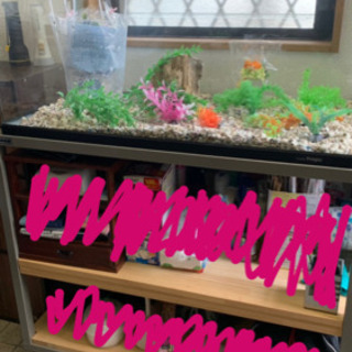 水槽＋台 寿工芸 プログレ900 アクアリウム