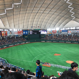 プロ野球ライングループメンバー募集 - 世田谷区