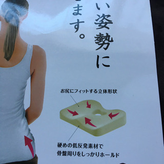 女王の座 (姿勢を正しくする低反発クッション)の画像