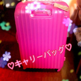 可愛いキャリーバッグ