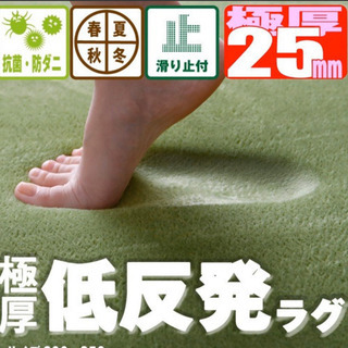 受付停止中 ☆ カーペット ラグ 低反発