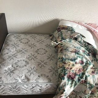 ベットお渡しいたします。