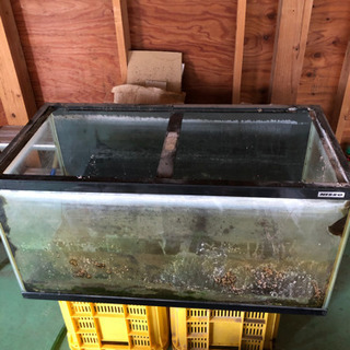 決定済!! もらって下さい！中古  水槽