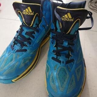 adidas👟✨バッシュ 