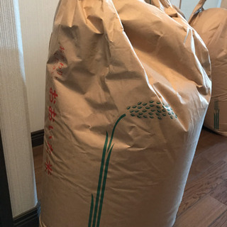 （受渡予定者決定）お米　30kg （ヒノヒカリ）2019年産