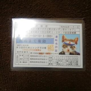 完品なめんなよ免許証ビニール閉じ